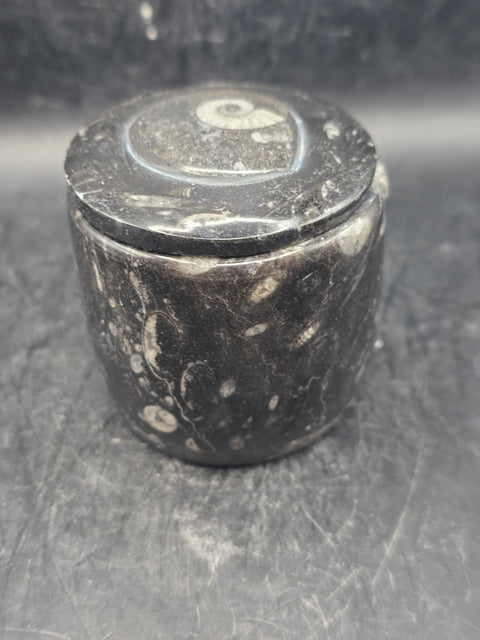 Small round fossil box! 2.4 inches tall, 2.3 inches wide, 8.6 ounces