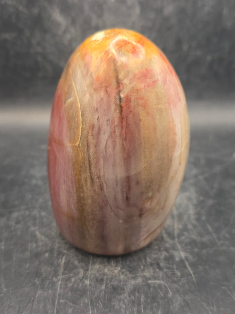 Petrified wood free form! 15.3 ounces, 3.4 inches tall, 2.3 wide