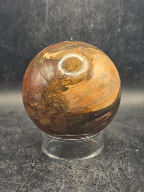 Petrified wood sphere! 68.4mm, 2.6 inches, 15.6 ounces