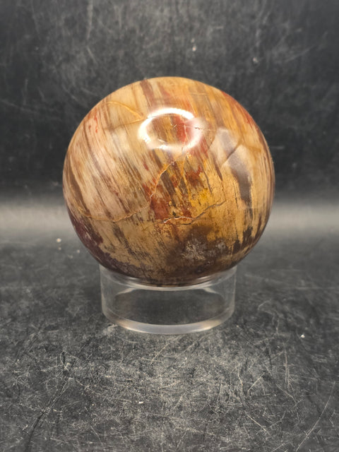 Petrified wood sphere! 65.7mm, 2.5 inches, 14.3 ounces