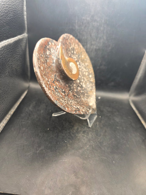 Ammonite fossil heart plate! 6 inches wide, 5.5 inches tall!