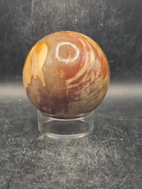 Petrified wood sphere! 65.7mm, 2.5 inches, 14.3 ounces