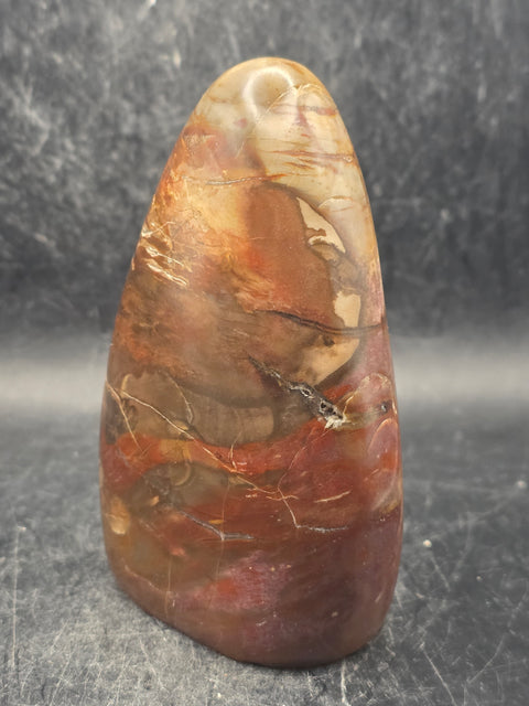 Petrified wood free form! 14.5 ounces, 3.9 inches tall, 2.7" wide