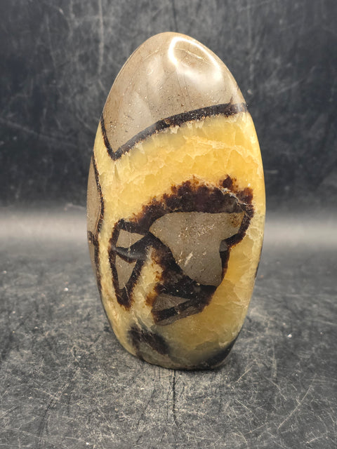 Septarian stone free form! 14 ounces, 4 inches tall, 2.6 inches wide