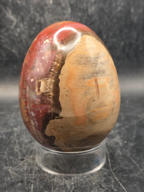 Petrified wood egg! 15 ounces, 3.1 inches tall, 2.4 inches wide!