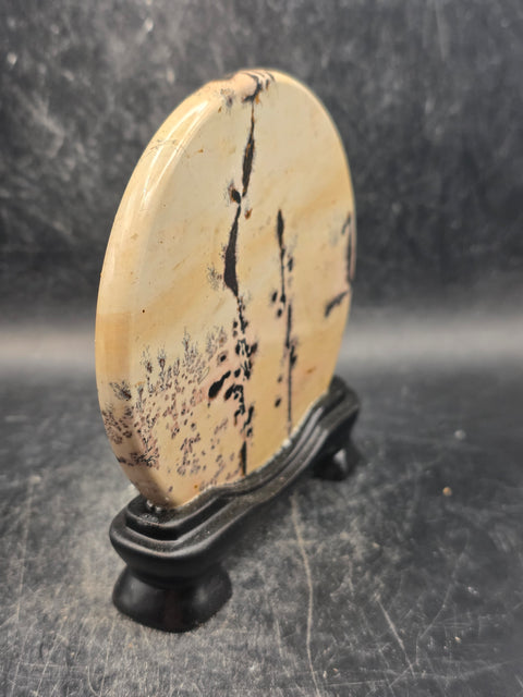 Natural picture jasper slab with stand! 4.9 ounces, 3.5 inches wide