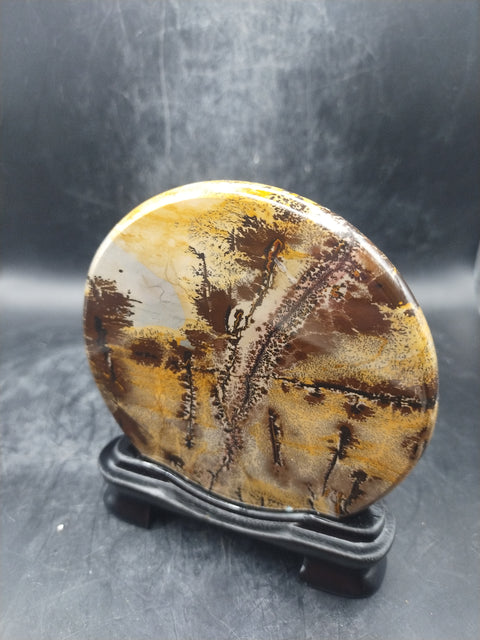 Natural Picture jasper slab with stand! 4.7 ounces,3.5 inches!
