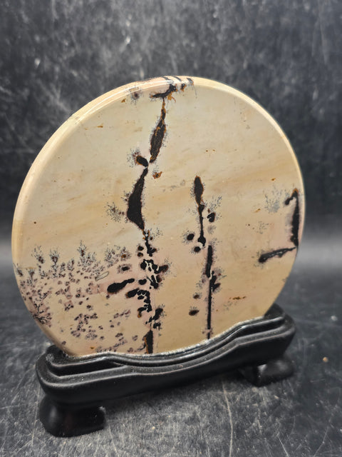 Natural picture jasper slab with stand! 4.9 ounces, 3.5 inches wide