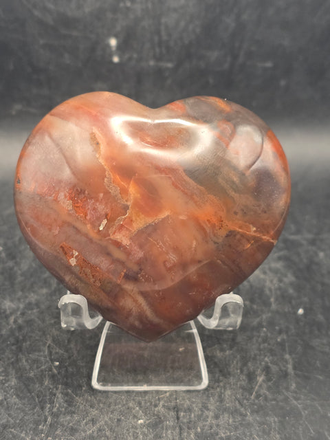 Petrified wood heart! 6.5 ounces, 2.7 inches wide, 2.5 inches tall