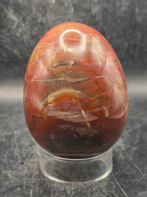 Petrified wood egg! 15 ounces, 3.1 inches tall, 2.4 inches wide!