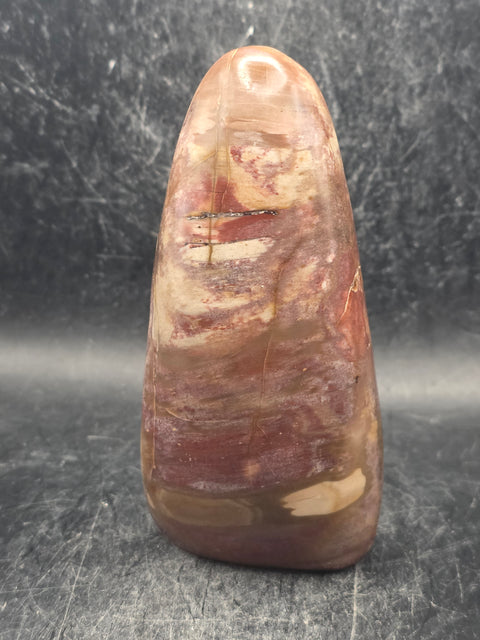 Petrified wood free form! 11.8 ounces, 4.2 inches tall, 2" wide