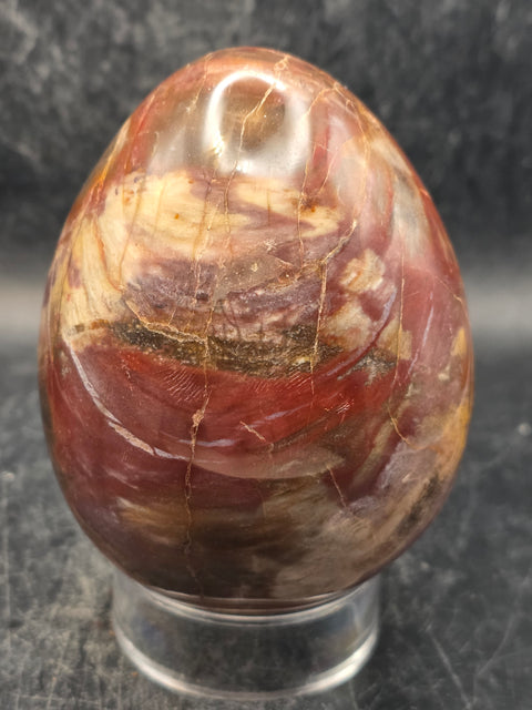 Petrified wood egg! 1.3 pounds, 3.4 inches tall, 2.6 inches wide!