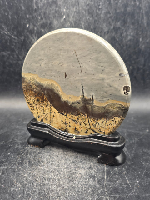 Natural picture jasper slab with stand! 5 ounces, 3.5 inches wide
