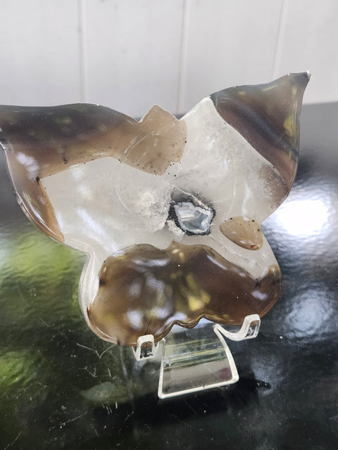 Druzy agate butterfly! 4.9 inches wide, 3.36 inches tall, 8 ounces