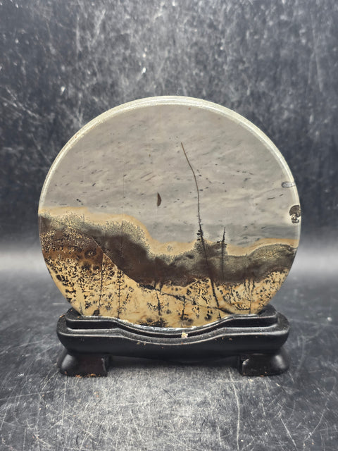 Natural picture jasper slab with stand! 5 ounces, 3.5 inches wide