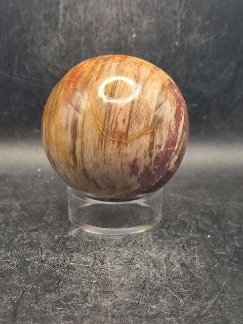 Petrified wood sphere! 65.7mm, 2.5 inches, 14.3 ounces