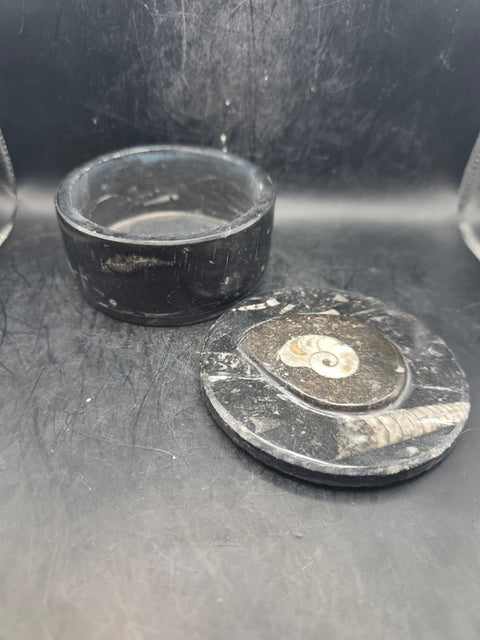 Large round fossil box! 3.5 inches wide, 13.8 ounces!