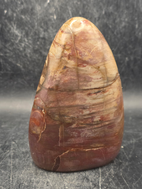 Petrified wood free form! 14.5 ounces, 3.9 inches tall, 2.7" wide