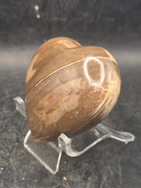 Petrified wood heart! 4.9 ounces, 2.4 inches tall, 2.2 inches wide!