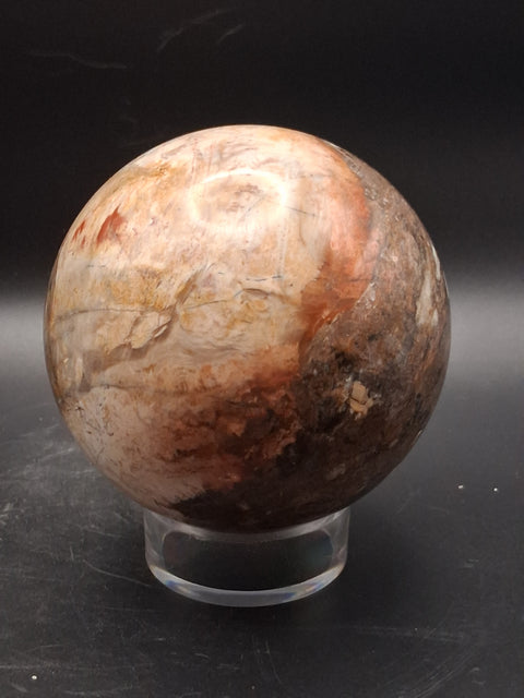 Large petrified wood sphere! 81mm, 3.1 inches, 1.8 pounds