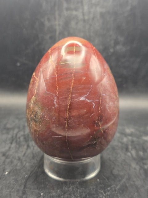 Petrified wood egg! 1.4 pounds! 3.5 inches tall, 2.7" wide