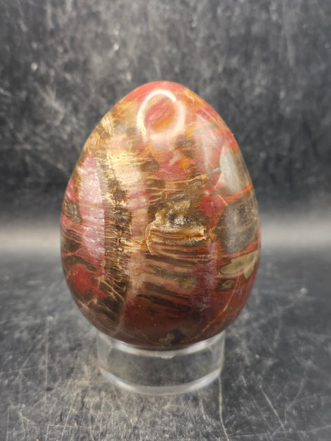 Petrified wood egg! 1.1 pounds, 3.4 inches tall, 2.5 wide