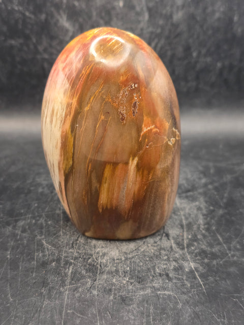 Petrified wood free form! 15.3 ounces, 3.4 inches tall, 2.3 wide