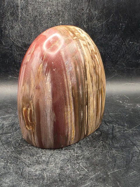 Petrified wood free form! 1.5 pounds, 3.4 inches tall, 3.1" wide