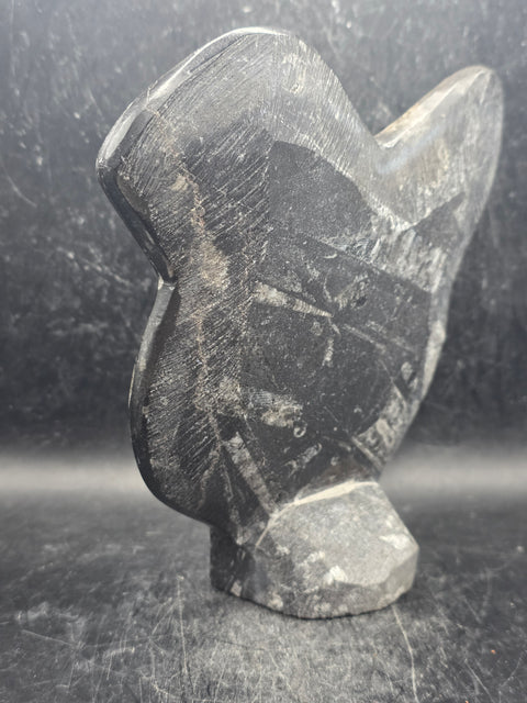 Orthoceras ammonite statue! 1.5 pounds, 6.2 inches tall, 5.2" wide