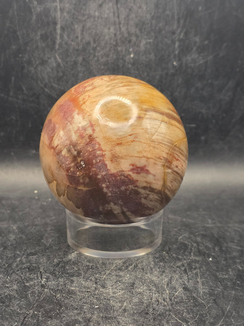 Petrified wood sphere! 65.7mm, 2.5 inches, 14.3 ounces