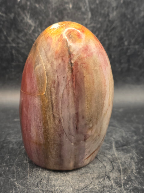 Petrified wood free form! 15.3 ounces, 3.4 inches tall, 2.3 wide