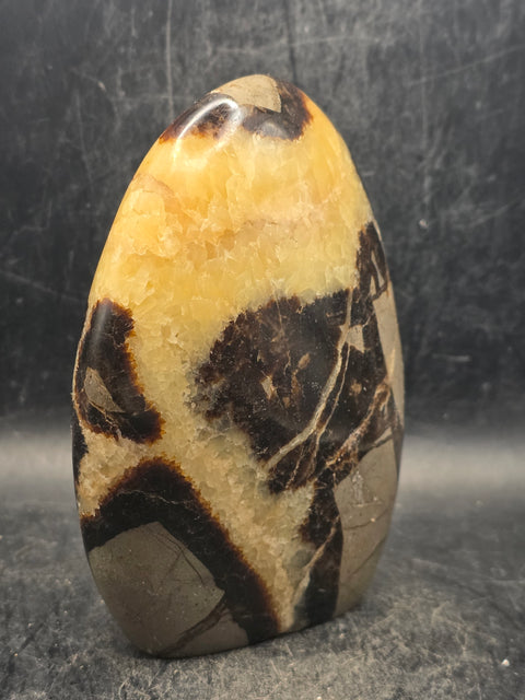 Septarian stone free form! 1.2 pounds, 4.3 inches tall, 3" wide!
