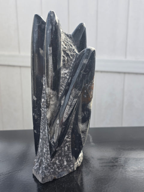 XL orthoceras limestone statue! 4.5 pounds, 9 inches tall, 3.3" wide