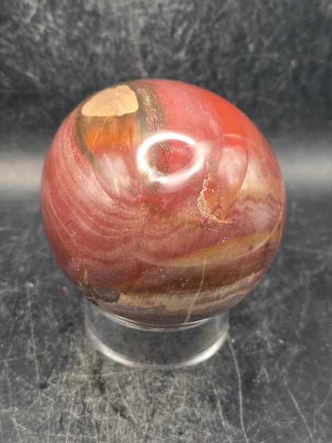 Petrified wood egg! 1.2 pounds, 3.3 inches tall, 2.6 inches wide