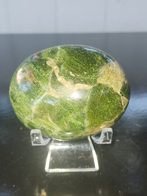 Olive opal palm stone! 2.64 inches wide, 2.09 tall, 4.8 ounce