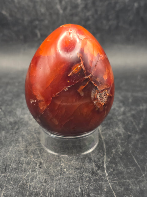 Carnelian agate egg! 5.5 ounces, 2.2 inches tall, 1.7 inches wide