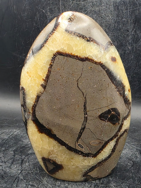 Septarian stone free form! 1.4 pounds!  4.5 inches tall, 3 inches wide