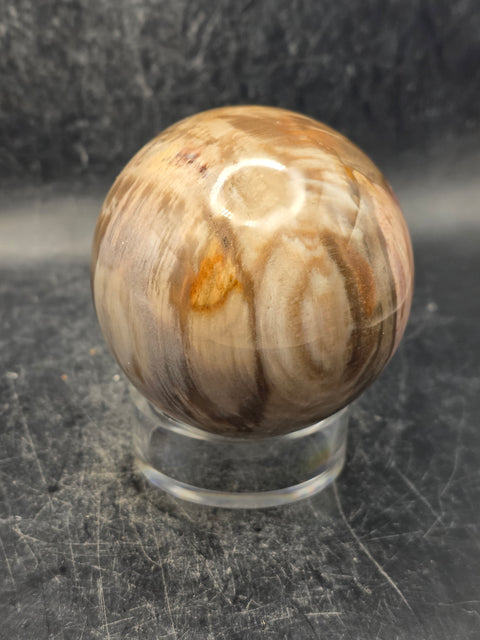 Petrified wood egg! 14.8 ounces, 3.2 inches tall, 2.3 inches wide