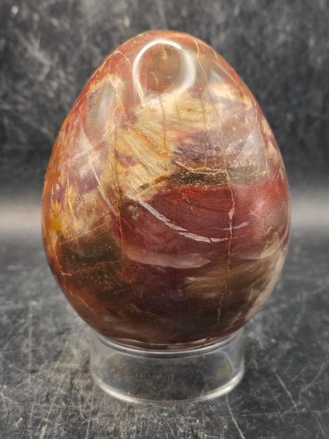 Petrified wood egg! 1.3 pounds, 3.4 inches tall, 2.6 inches wide!