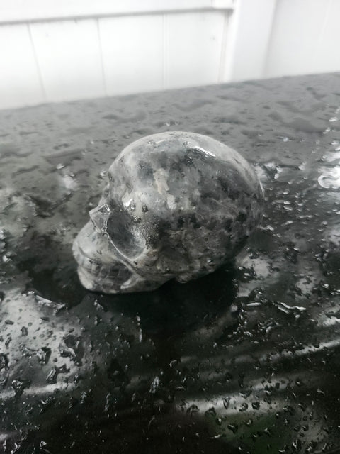 Larvikite skull! 1.3 pounds, 3.7 inches long, 2.7 tall, 2.2 wide