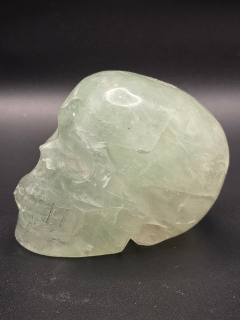 Green florite skull! 3.3 inches long, 2.6 inches tall, 1.3 pounds