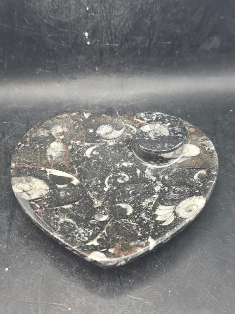 Ammonite heart fossil plate! 4.4 inches wide, 4.3 inches tall