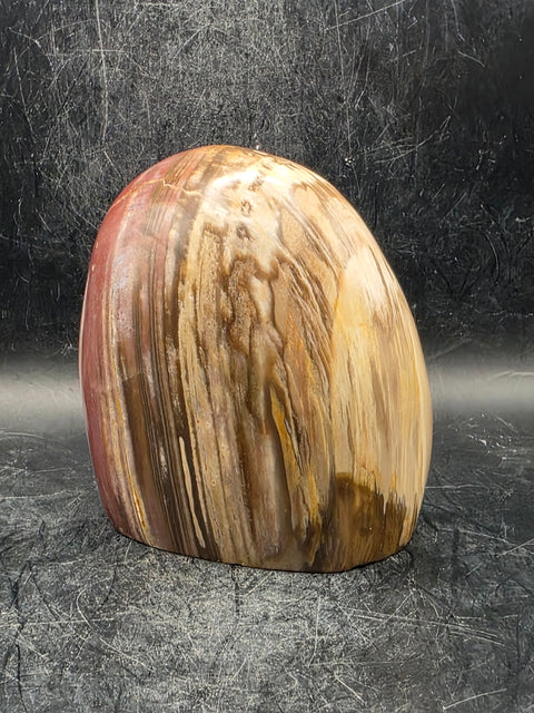 Petrified wood free form! 1.5 pounds, 3.4 inches tall, 3.1" wide