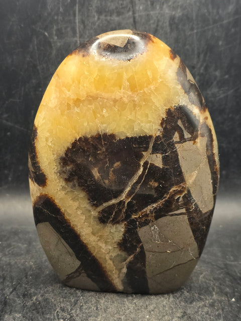 Septarian stone free form! 1.2 pounds, 4.3 inches tall, 3" wide!