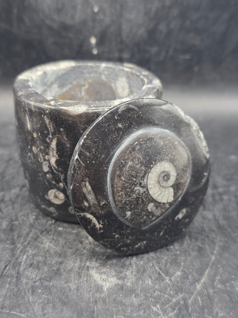 Small round fossil box! 2.4 inches tall, 2.3 inches wide, 8.6 ounces