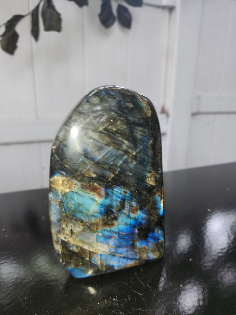 1.13 pound, 5 inch Labrodite free form