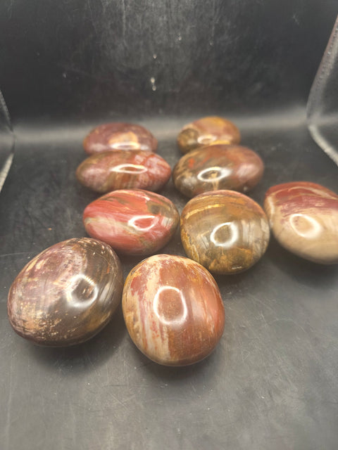 Petrified wood palm stone! 1.8 too 2.2 inches!