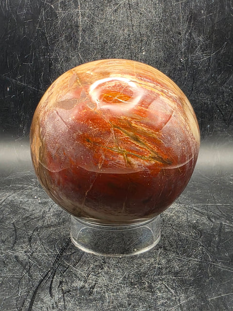 Petrified wood sphere! 79mm, 3.1 inches, 1.8 pounds!