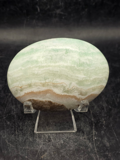 Caribbean calcite palm stone! 4.4 ounces, 2.7 inches long, 1.9" wide