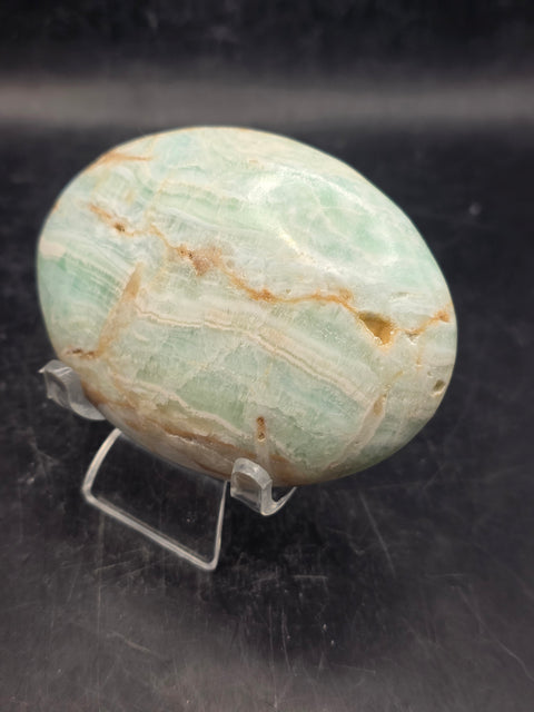 Caribbean calcite palm stone! 5.7 ounces, 3 inches long, 2.2" wide